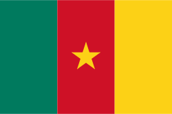 Cameroon Flag (200D nylon)