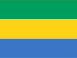 Gabon Flag (200D Nylon)