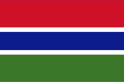 Gambia Flag (Econo Polyester)