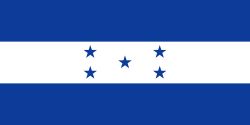 Honduras Flag (Econo Polyester)