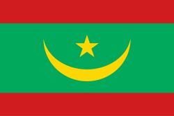 Mauritania Flag (200D Nylon)