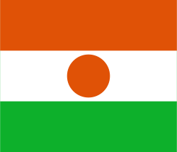 Niger Flag (200/210D Nylon)