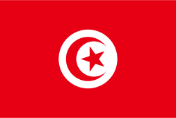 Tunisia Flag (200/210D Nylon)