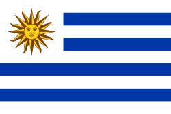 Uruguay Flag (Econo Polyester)