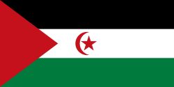 Western Sahara Flag (200/210D Nylon)