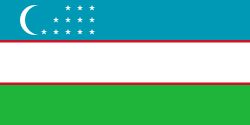 Uzbekistan Flag (Econo Polyester)
