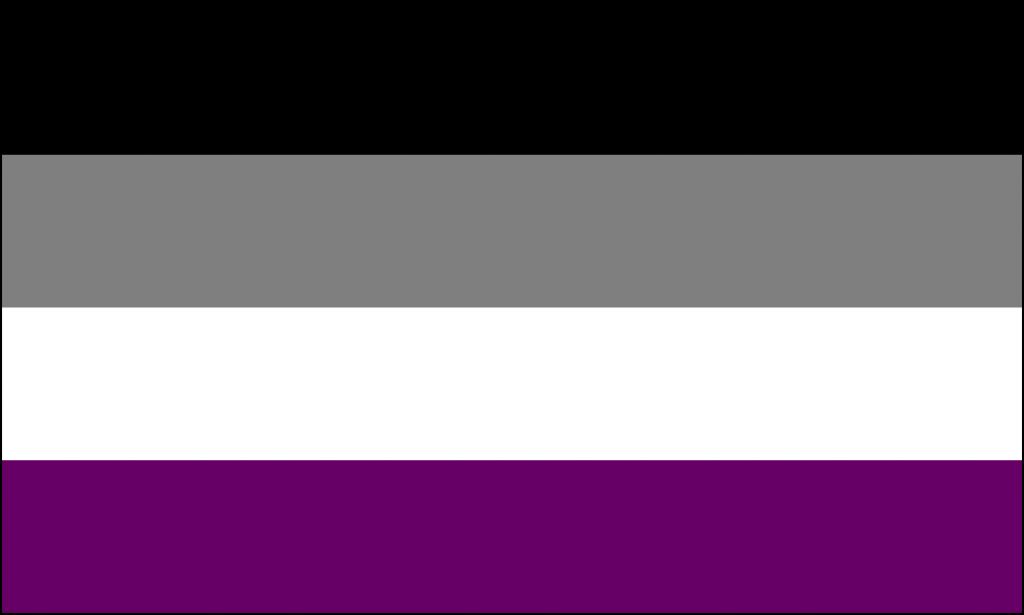 Asexual Flag (Econo Polyester)