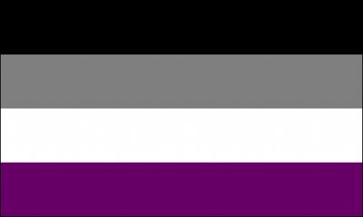 Asexual Flag (Econo Polyester)