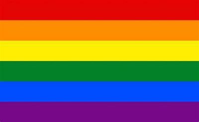 Rainbow Pride Flag (Polyester)