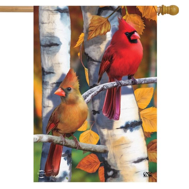 Birch Tree Cardinals House Flag