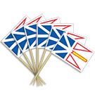 Newfoundland Toothpicks (50 pack)
