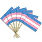 Transgender Toothpicks (50 pack)