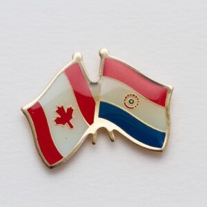 Paraguay Friendship Pin
