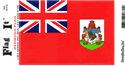 Bermuda Decal