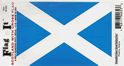 St. Andrew&#39;s Cross Decal
