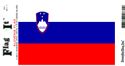 Slovenia Decal