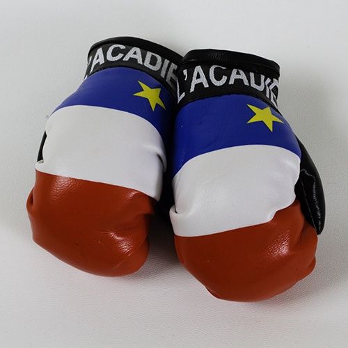 Acadian Boxing Gloves