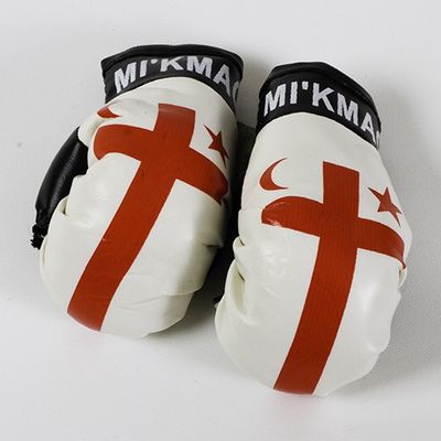 Mi&#39;kmaq Boxing Gloves
