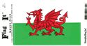 Wales Decal