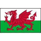 Welsh Flag (210D Nylon)