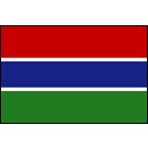 Gambia Stick Flags