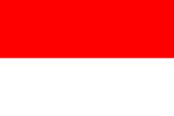 Indonesia Stick Flag
