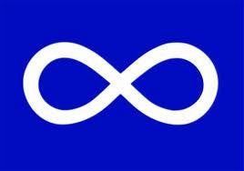 Metis Stick Flag