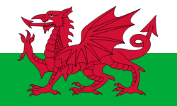 Wales Stick Flags