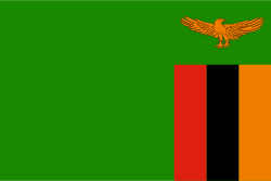 Zambia Stick Flags