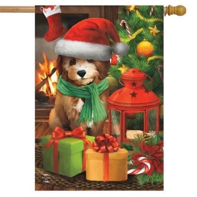 Waiting For Santa House Flag