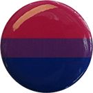 Bisexual Button