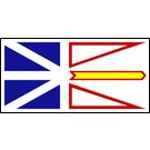 Newfoundland Car Antenna Flag