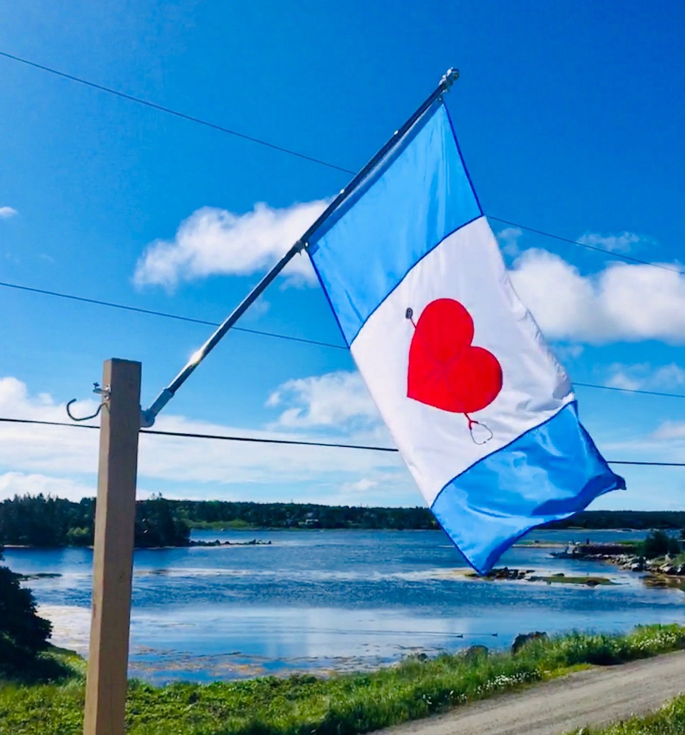 Healthcare Heroes Flags