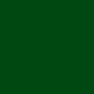 Dartmouth Green Fabric (200D Nylon)