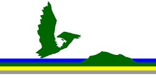 Cape Breton Flags Custom Sewn 200D Nylon (Eagle Design), Size: 18x36&quot;