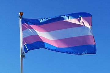 Transgender Flags Custom Sewn (200D Nylon), Size: 36x72&quot;, Sleeve Finish: Grommets