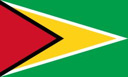 Guyana Flag (210D Nylon), Size: 36x72&quot;