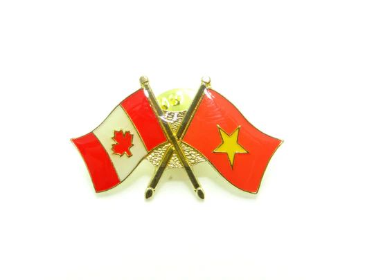 Vietnam Friendship Pin