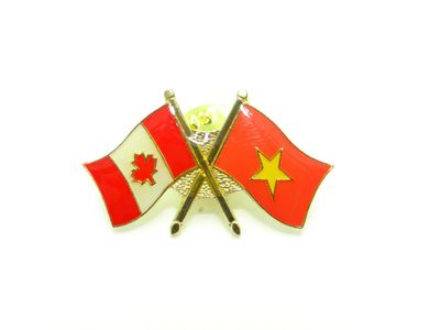 Vietnam Friendship Pin