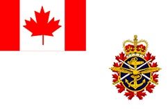 CF Ensign Stick Flags 6 x 10&quot;
