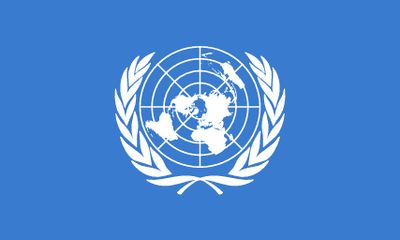 United Nations Stick Flags