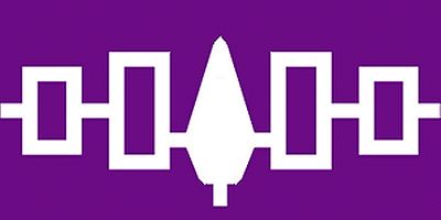 Iroquois Patch