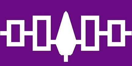 Iroquois Stick Flags (Polyester), Finish: Heat Cut, Size: 4x6&quot;