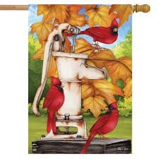 Water Pump and Cardinals House Flag
