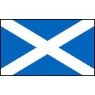 St. Andrew’s Cross Stick Flags, Finish: Heat Cut, Size: 4x6&quot;