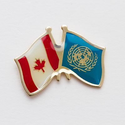 United Nations Friendship Pin