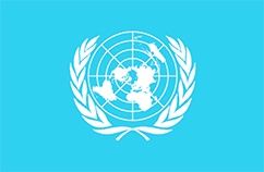 United Nations  (Econo Polyester)
