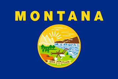 Montana ( Econo Polyester )