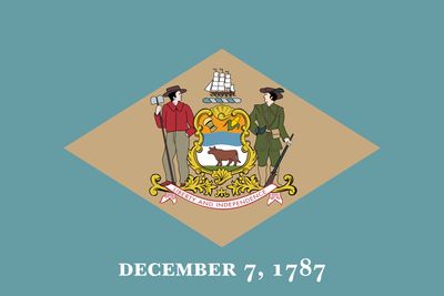 Delaware ( Econo Polyester)