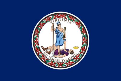 Virginia ( Econo Polyester)